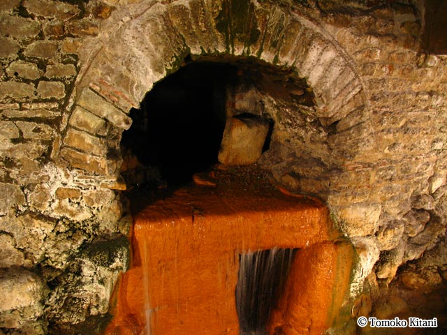 ローマン・バス博物館の「聖なる泉」