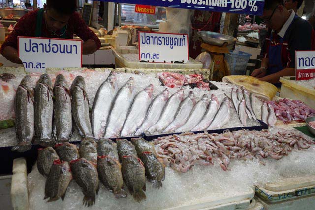 日本の魚売り場では見かけない魚が売られています