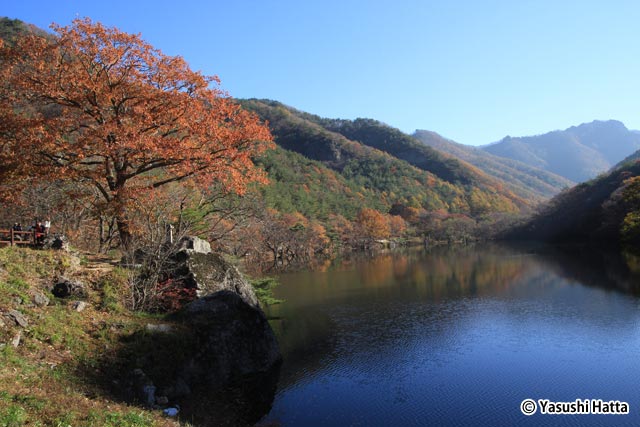 紅葉の季節に撮影した注山池。四季折々の姿を楽しめる