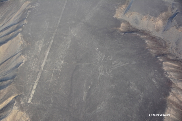 上空から見るナスカで最も有名なハチドリの地上絵