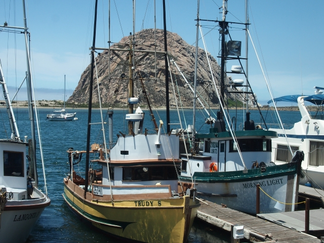 モロロックを背景に漁船が並ぶ味のある風景が眺められる