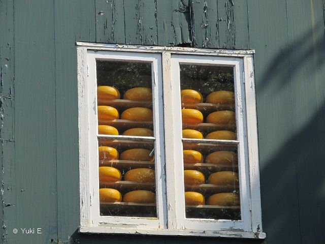 窓に並んだエダム・チーズ