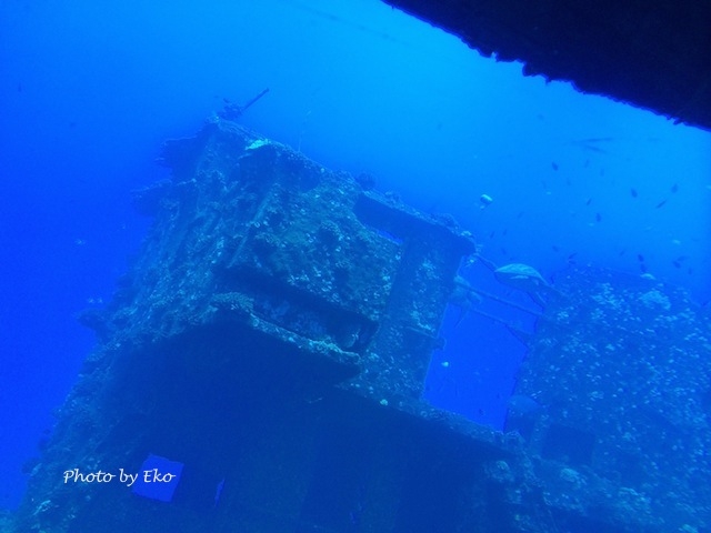 海底遺跡を行く雰囲気の潜水艦ツアー