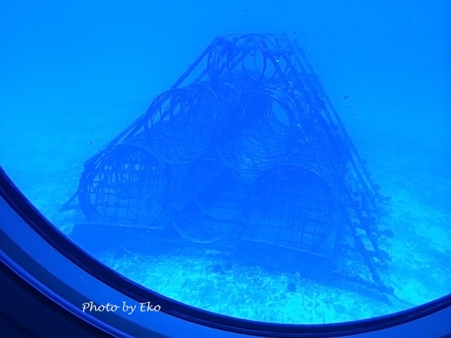 日本の会社が作った人工漁礁