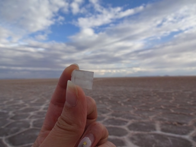 天空の鏡、ボリビア・ウユニ塩湖で「塩のクリスタル」探し - 成功する留学