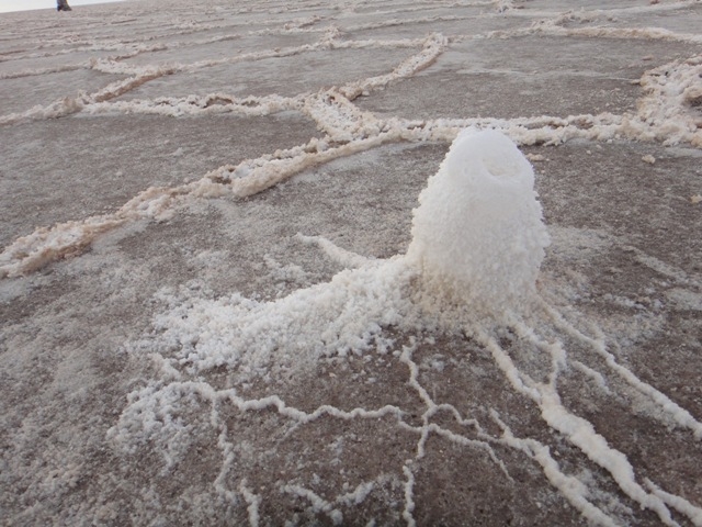 天空の鏡、ボリビア・ウユニ塩湖で「塩のクリスタル」探し - 成功する留学