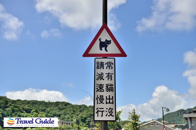 猫の標識