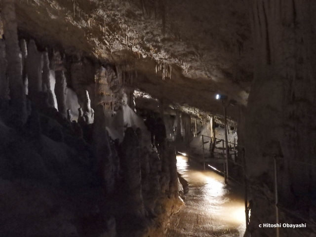 石灰石のアートで溢れるシュコツィヤン鍾乳洞内部