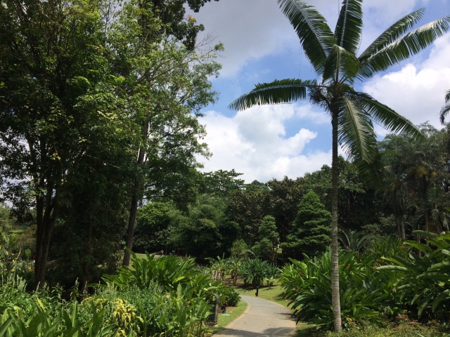世界遺産の見方が180度変わる シンガポール植物園日本語ガイドツアー 成功する留学