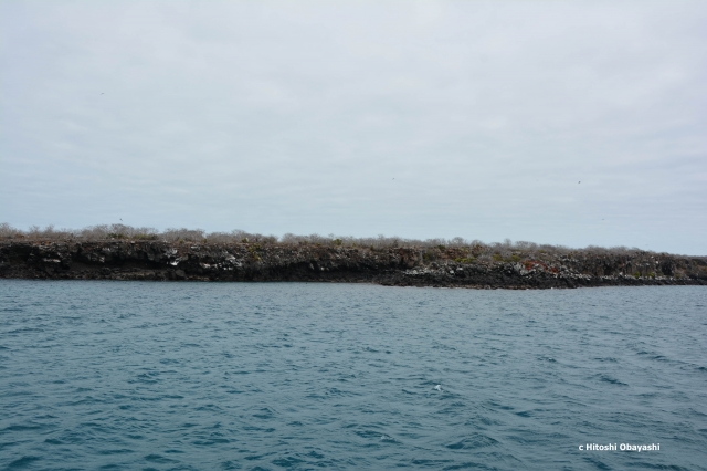 ガラパゴスの無人島の一つノース・セイモア島