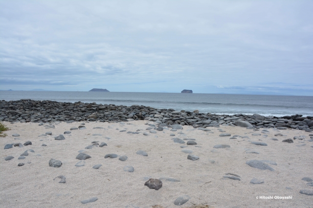 ノース・セイモア島の沖合に浮かぶ無人の島々