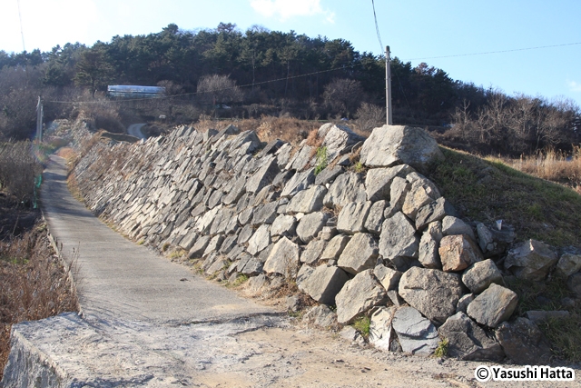 西生浦倭城の石垣。文禄・慶長の役では拠点のひとつになった
