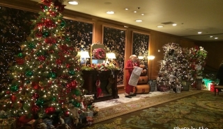 歴史あるオリンピックホテルのチャリティーでクリスマスツリーを堪能 成功する留学